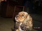 Ruby Loo